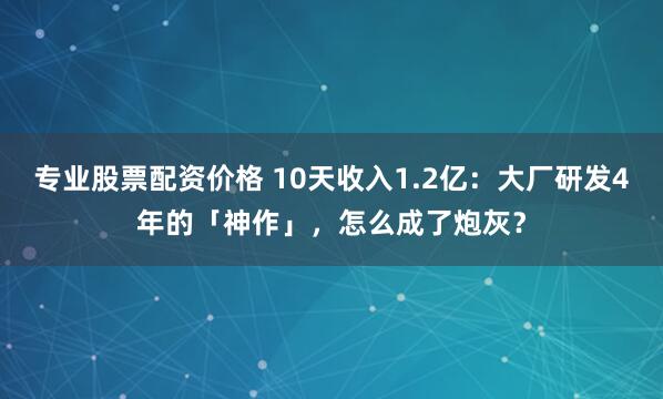 专业股票配资价格 10天收入1.2亿:大厂研发4年的「神作」,怎么成了炮灰?
